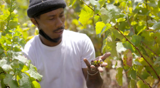 Black Entrepreneurship